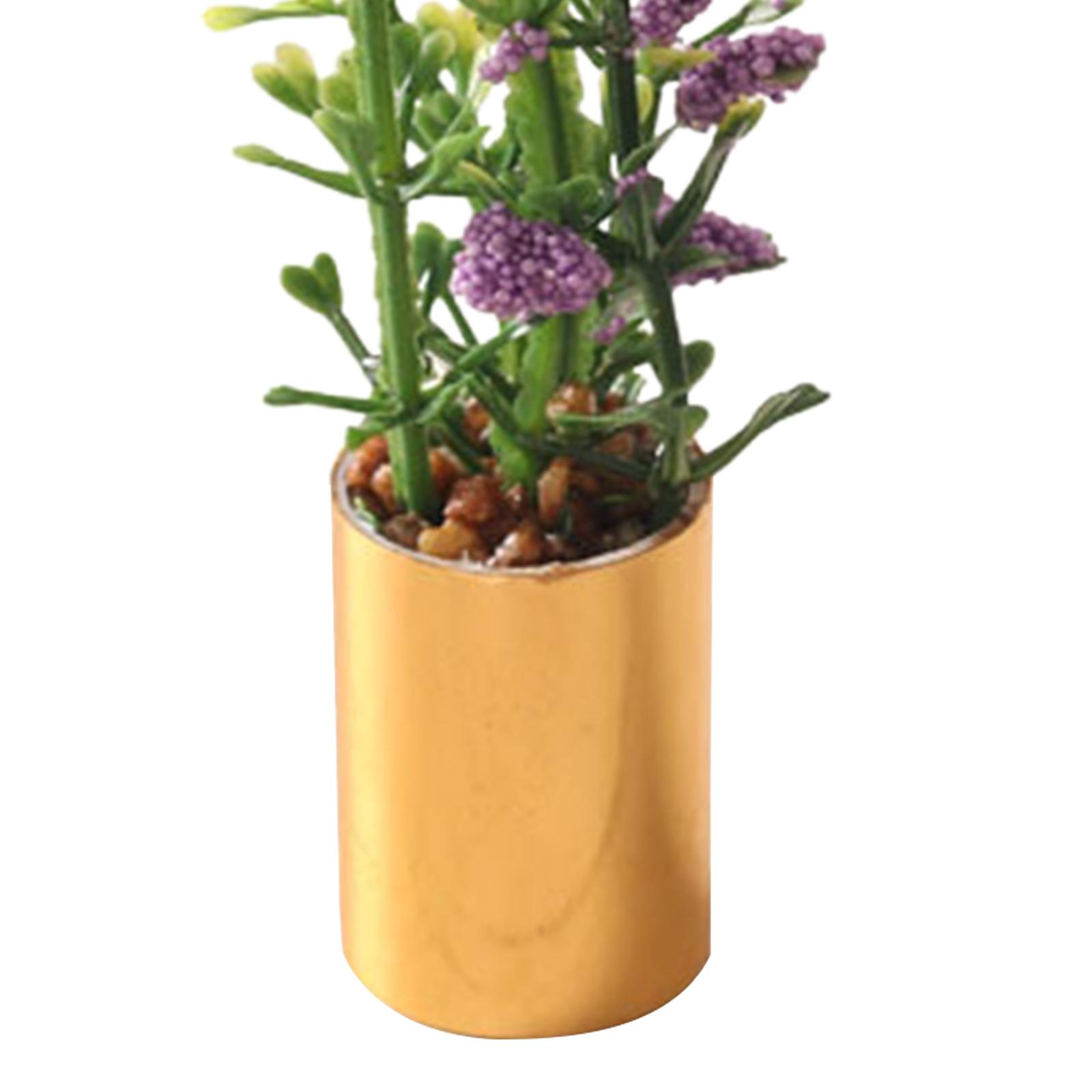 Ornamento di Pianta in Vaso in - Bonsai Garden Europe recensione e prezzo