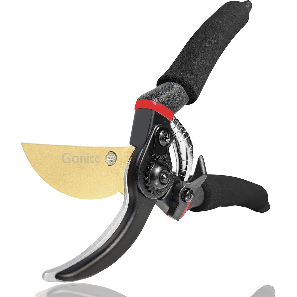 Forbici da Potatura Profession - Bonsai Garden Knife recensione e prezzo