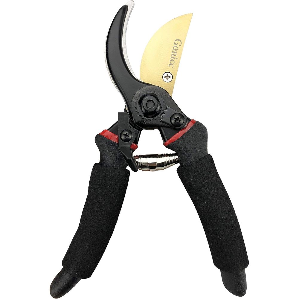 Forbici da Potatura Profession - Bonsai Garden Knife recensione e prezzo