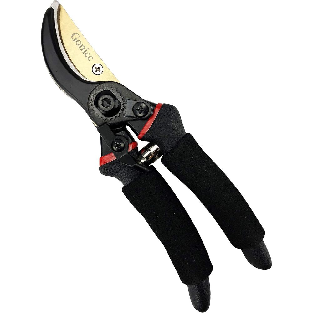 Forbici da Potatura Profession - Bonsai Garden Knife recensione e prezzo