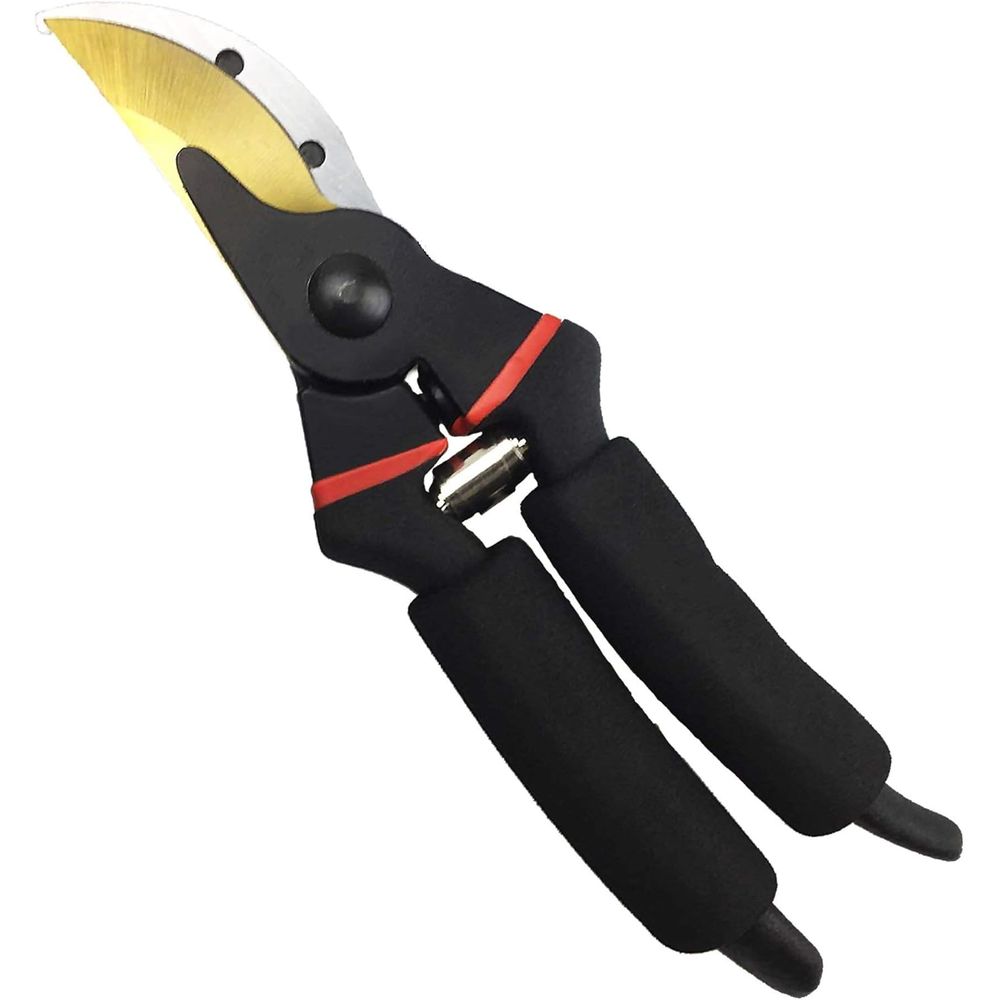 Forbici da Potatura Profession - Bonsai Garden Knife recensione e prezzo