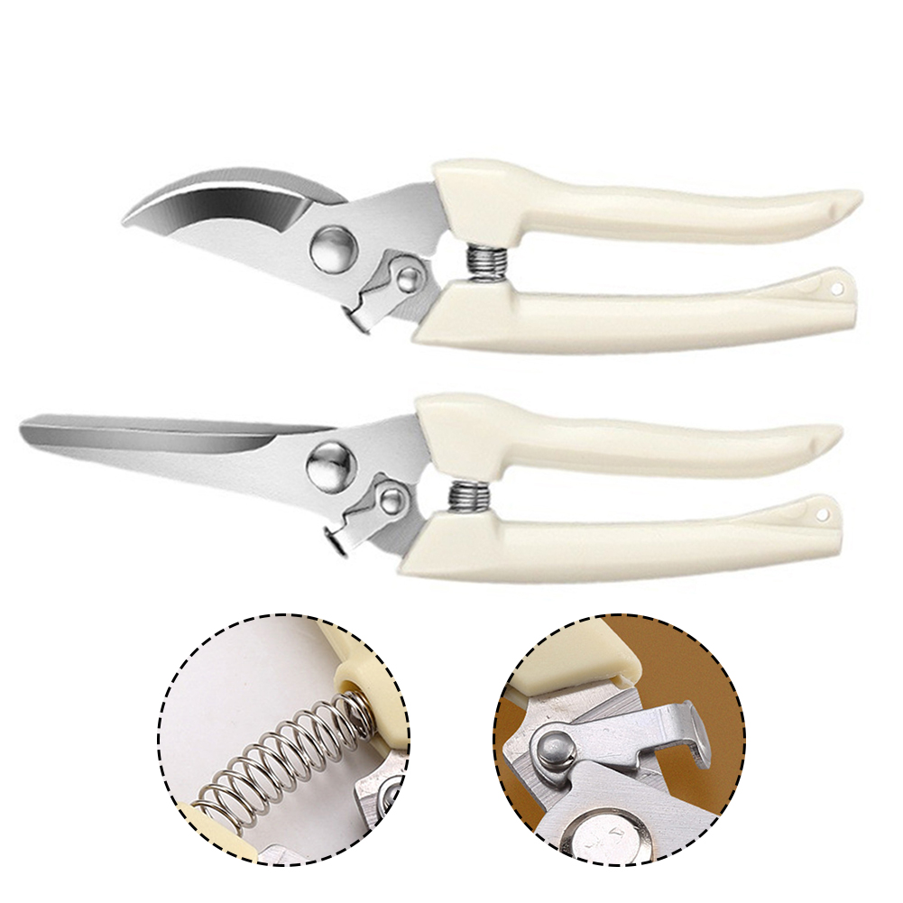 Cesoie da potatura Utensili ma - Bonsai Garden Knife recensione e prezzo