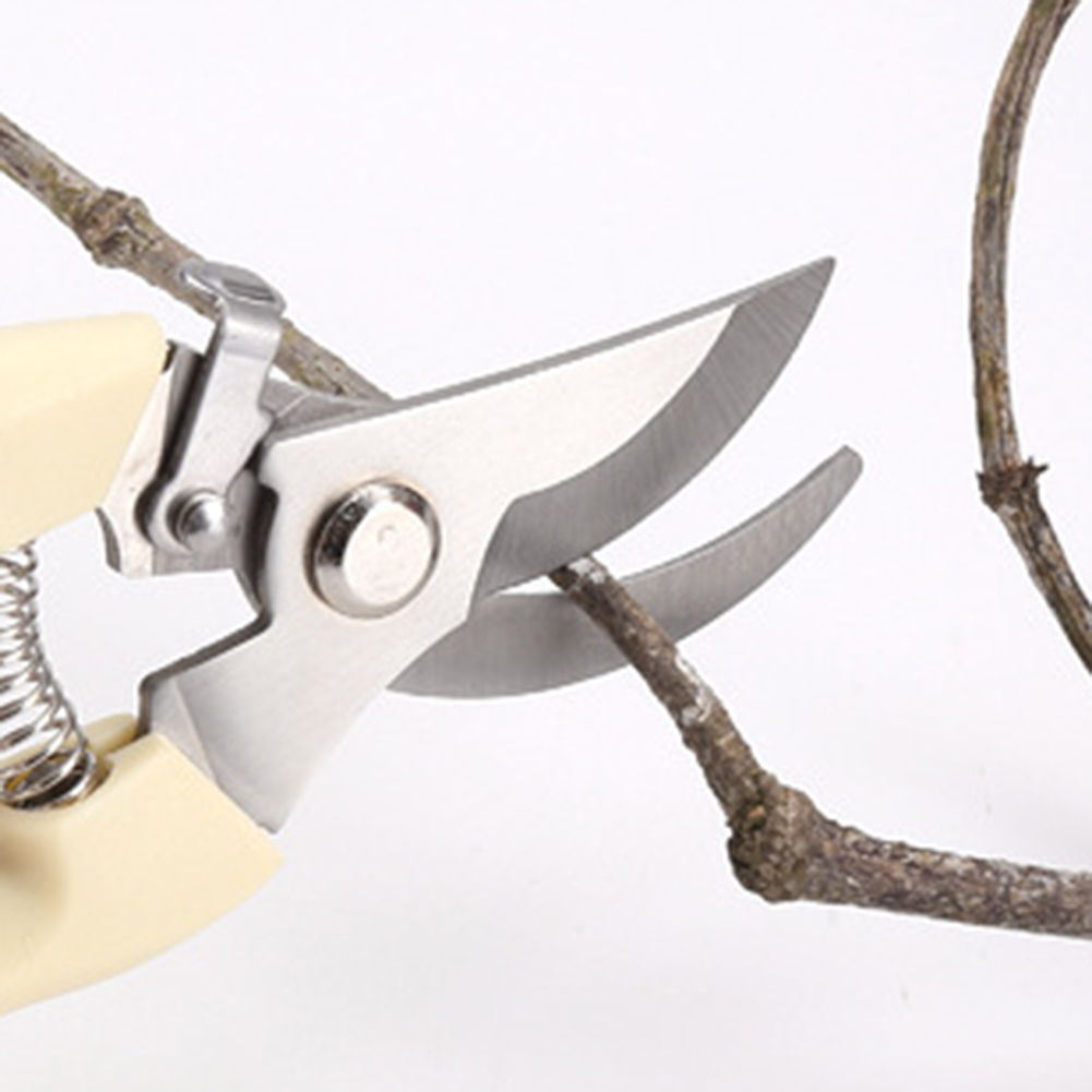 Cesoie da potatura Utensili ma - Bonsai Garden Knife recensione e prezzo