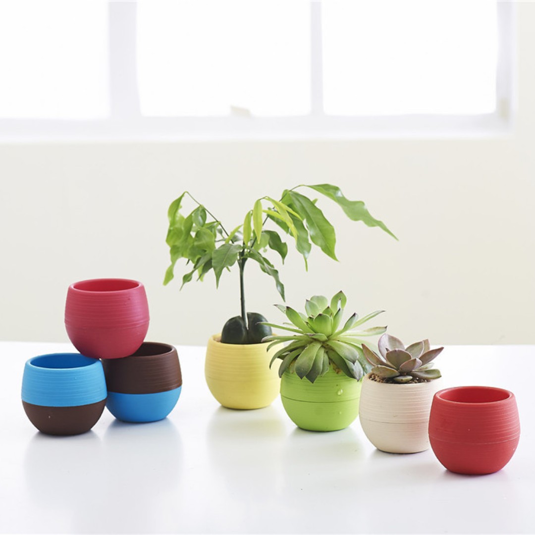 Mini vasi da fiori in plastica - Bonsai Garden Nursery recensione e prezzo