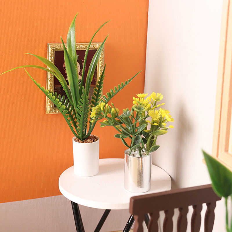 Nuova Offerta: Pianta in Vaso  - Bonsai Garden For Sale recensione e prezzo