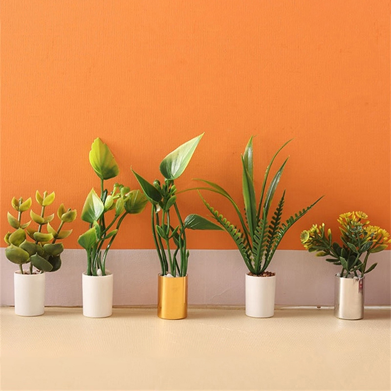 Nuova Offerta: Pianta in Vaso  - Bonsai Garden For Sale recensione e prezzo