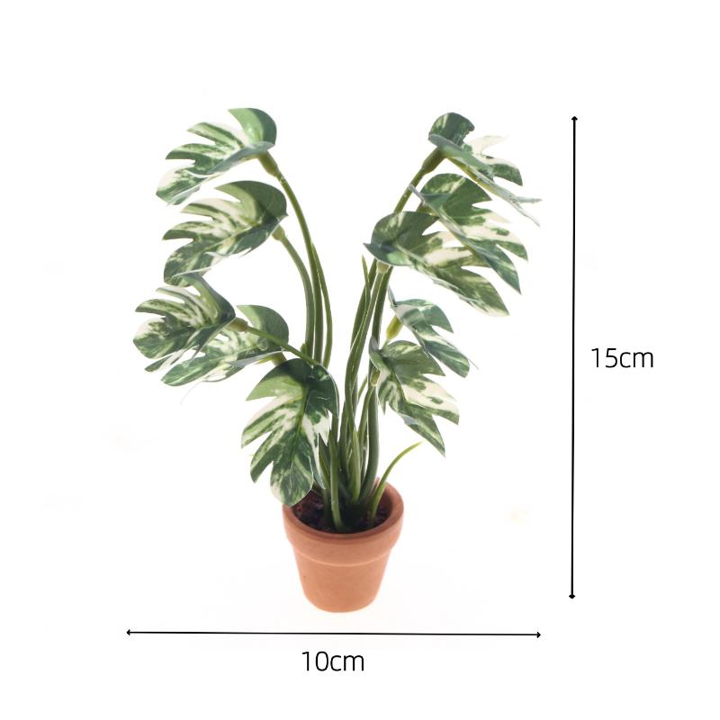 Nuovo. 1 Pezzo Pianta Verde Mo - Landscape Bonsai Garden recensione e prezzo