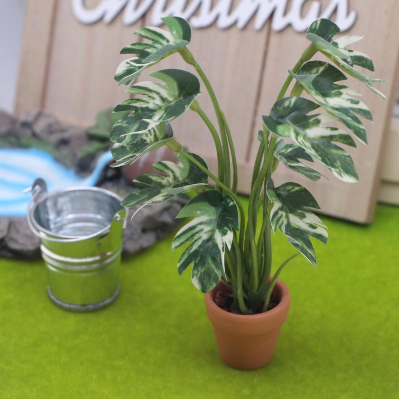 Nuovo. 1 Pezzo Pianta Verde Mo - Landscape Bonsai Garden recensione e prezzo