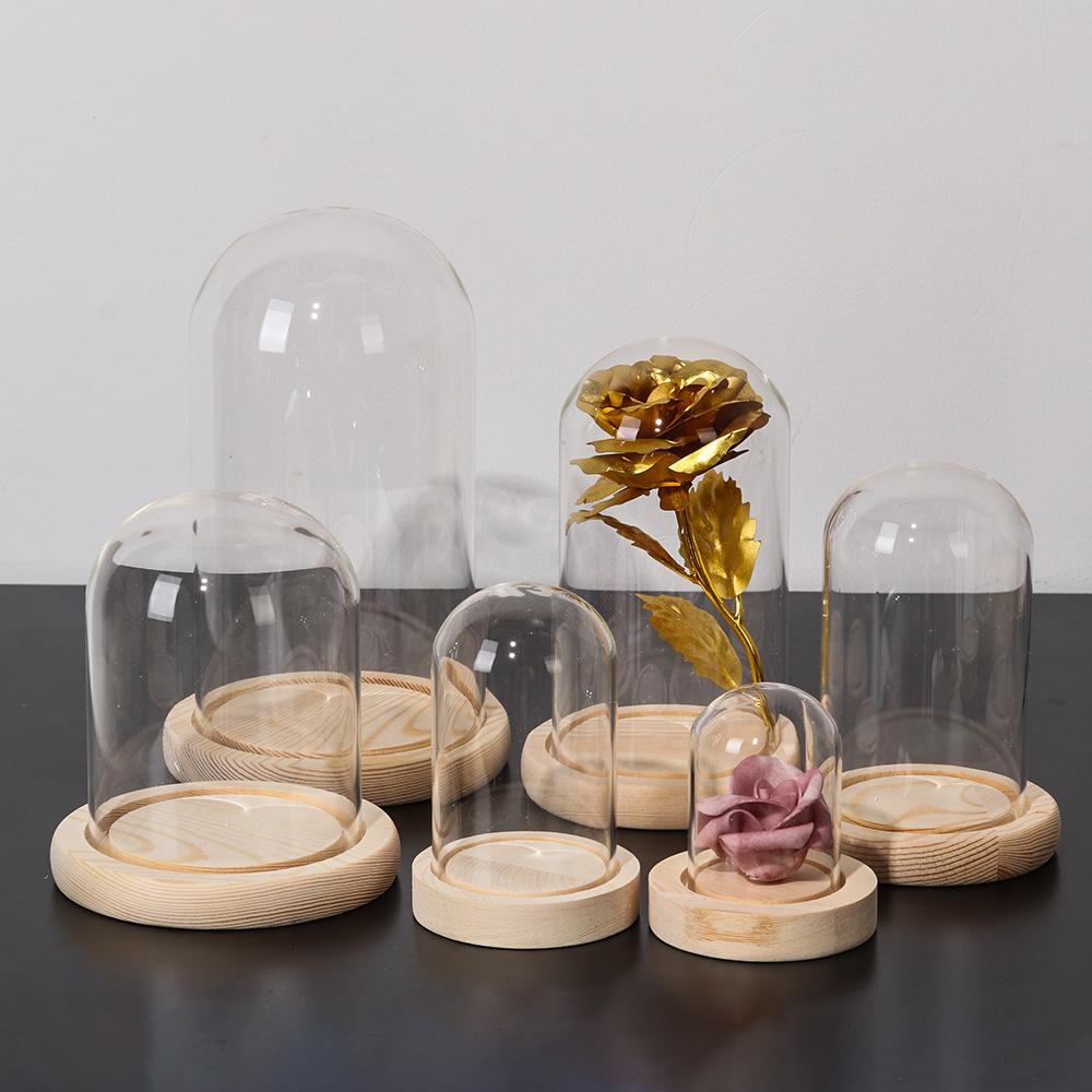 Bottiglia per terrario con cop - Display Stand Wood recensione e prezzo