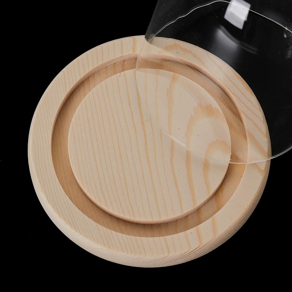 Bottiglia per terrario con cop - Display Stand Wood recensione e prezzo