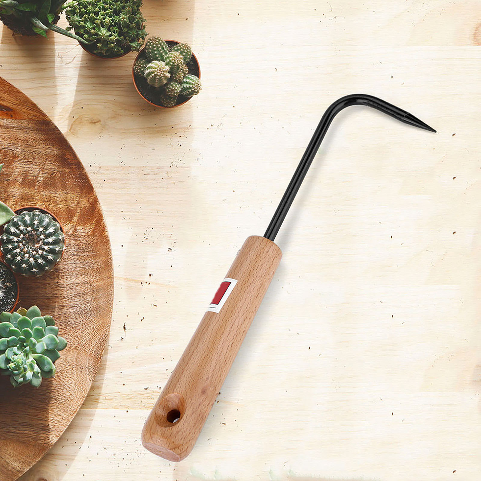Robusto Gancio per Radici di B - Bonsai Garden Knife recensione e prezzo