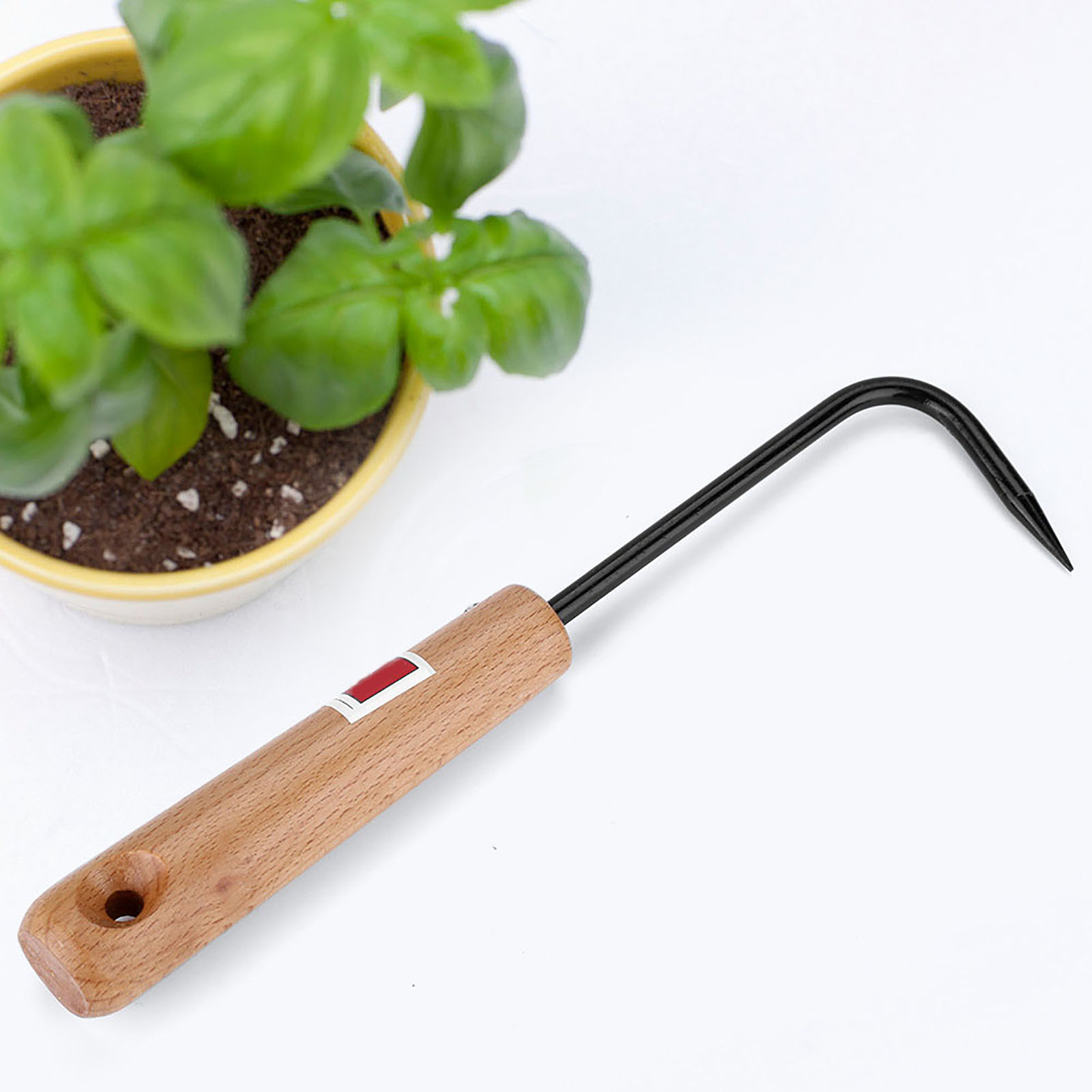 Robusto Gancio per Radici di B - Bonsai Garden Knife recensione e prezzo